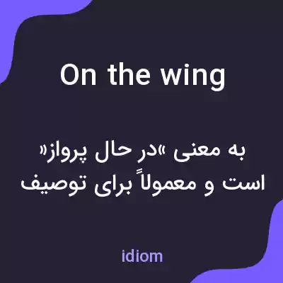 معنی on the wing به فارسی معنی on the wing به فارسی