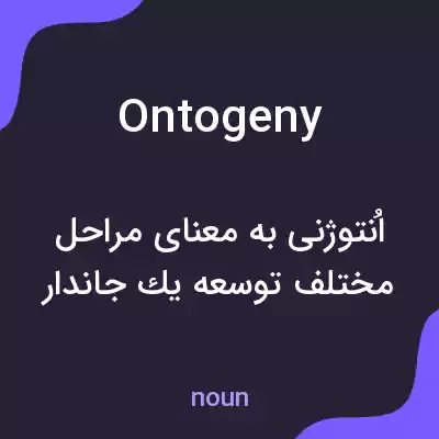 معنی ontogeny به فارسی معنی ontogeny به فارسی