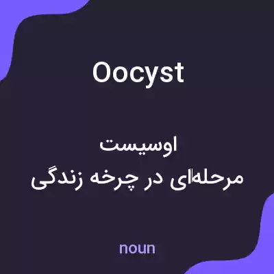 معنی oocyst به فارسی