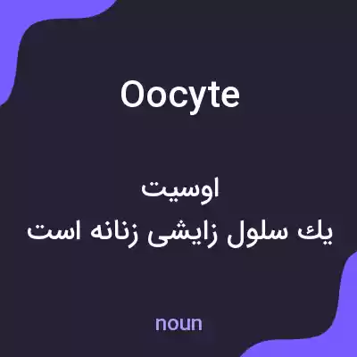 معنی oocyte به فارسی معنی oocyte به فارسی