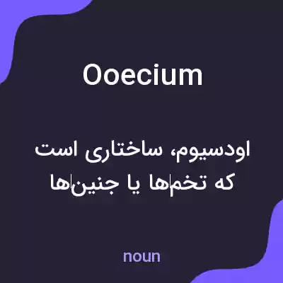 معنی ooecium به فارسی معنی ooecium به فارسی