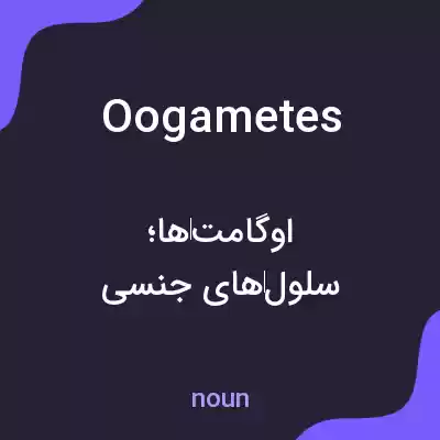 معنی oogametes به فارسی معنی oogametes به فارسی