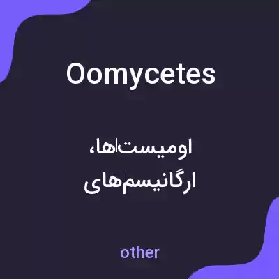معنی oomycetes به فارسی معنی oomycetes به فارسی