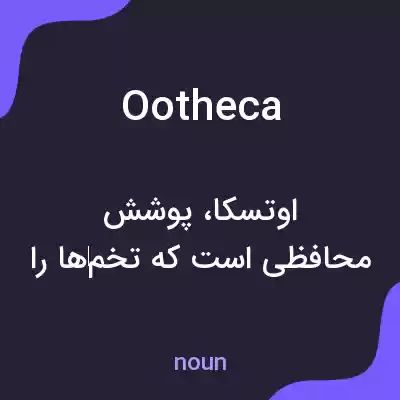 معنی ootheca به فارسی معنی ootheca به فارسی