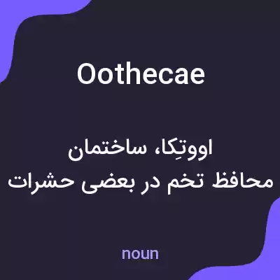 معنی oothecae به فارسی معنی oothecae به فارسی