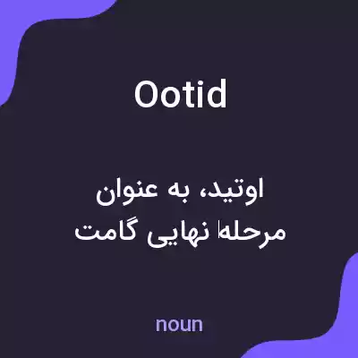 معنی ootid به فارسی معنی ootid به فارسی