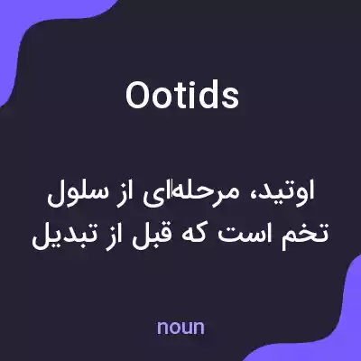 معنی ootids به فارسی معنی ootids به فارسی