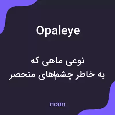 معنی opaleye به فارسی معنی opaleye به فارسی