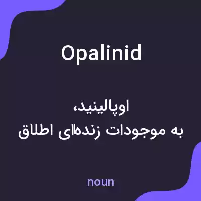 معنی opalinid به فارسی معنی opalinid به فارسی