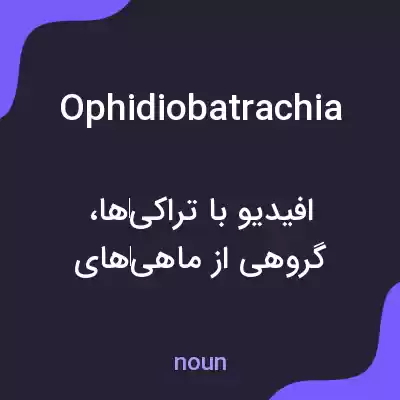 معنی ophidiobatrachia به فارسی معنی ophidiobatrachia به فارسی