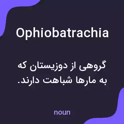 معنی ophiobatrachia به فارسی معنی ophiobatrachia به فارسی
