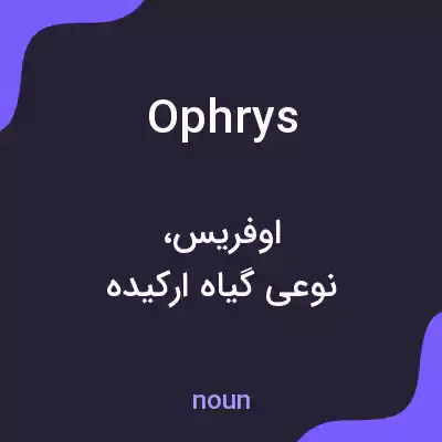 معنی ophrys به فارسی معنی ophrys به فارسی