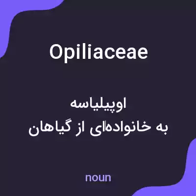 معنی opiliaceae به فارسی معنی opiliaceae به فارسی