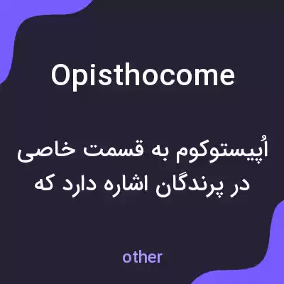 معنی opisthocome به فارسی معنی opisthocome به فارسی