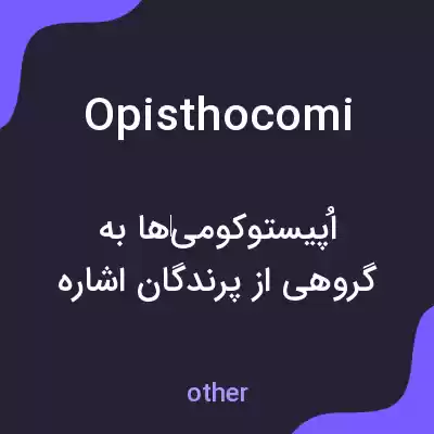 معنی opisthocomi به فارسی معنی opisthocomi به فارسی