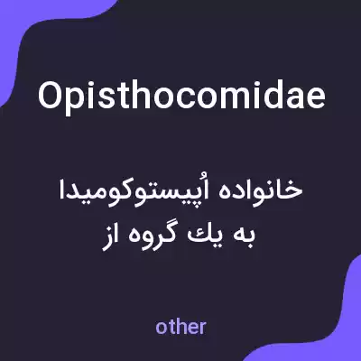 معنی opisthocomidae به فارسی معنی opisthocomidae به فارسی