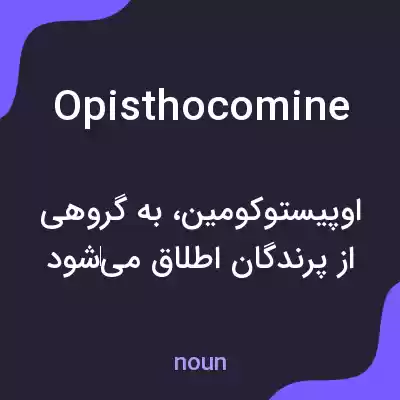 معنی opisthocomine به فارسی معنی opisthocomine به فارسی