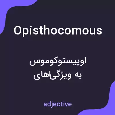 معنی opisthocomous به فارسی معنی opisthocomous به فارسی