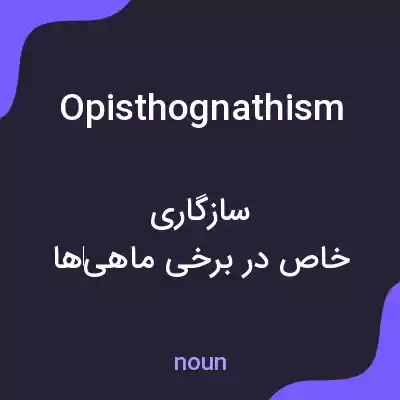 معنی opisthognathism به فارسی معنی opisthognathism به فارسی