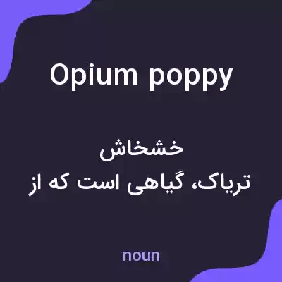 معنی opium poppy به فارسی معنی opium poppy به فارسی