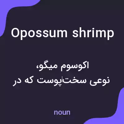 معنی opossum shrimp به فارسی معنی opossum shrimp به فارسی