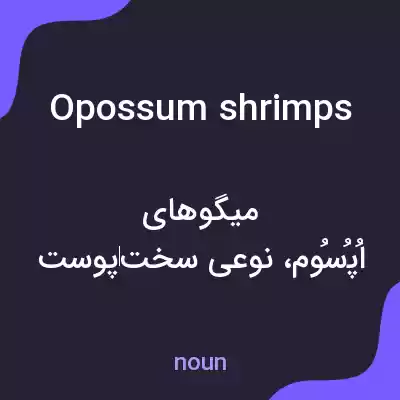 معنی opossum shrimps به فارسی معنی opossum shrimps به فارسی
