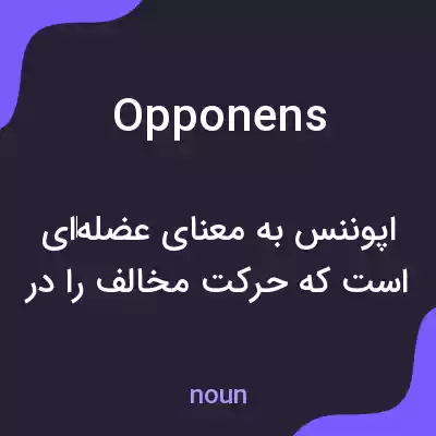 معنی opponens به فارسی معنی opponens به فارسی