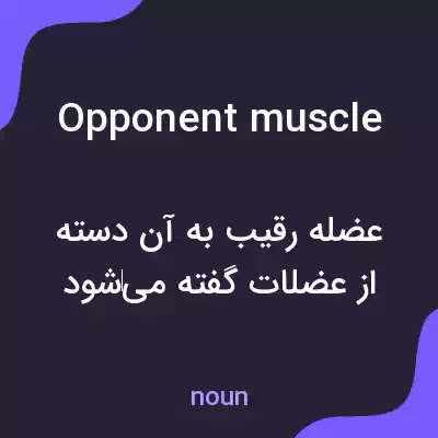 معنی opponent muscle به فارسی معنی opponent muscle به فارسی