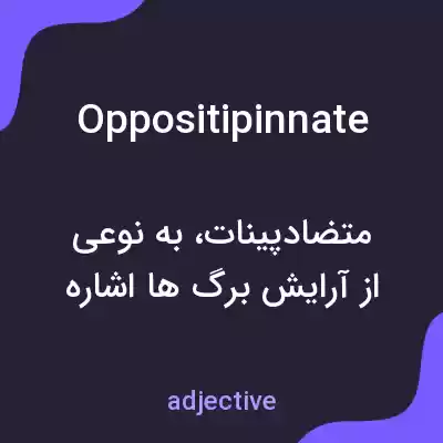 معنی oppositipinnate به فارسی معنی oppositipinnate به فارسی