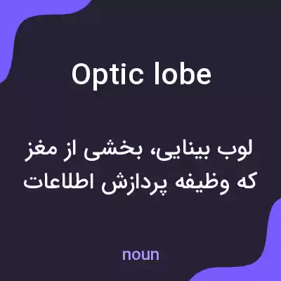 معنی optic lobe به فارسی معنی optic lobe به فارسی