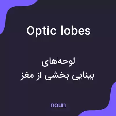 معنی optic lobes به فارسی معنی optic lobes به فارسی