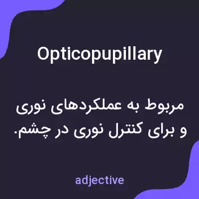معنی opticopupillary به فارسی معنی opticopupillary به فارسی