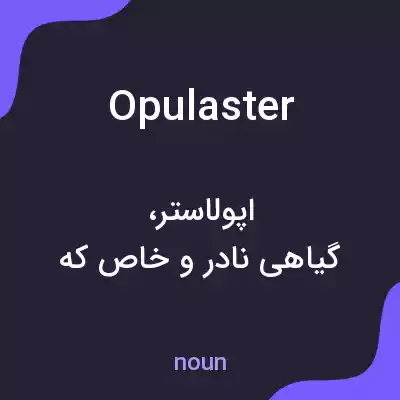 معنی opulaster به فارسی معنی opulaster به فارسی