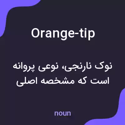 معنی orange-tip به فارسی معنی orange-tip به فارسی