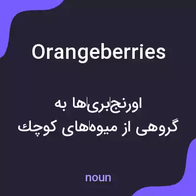 معنی orangeberries به فارسی معنی orangeberries به فارسی