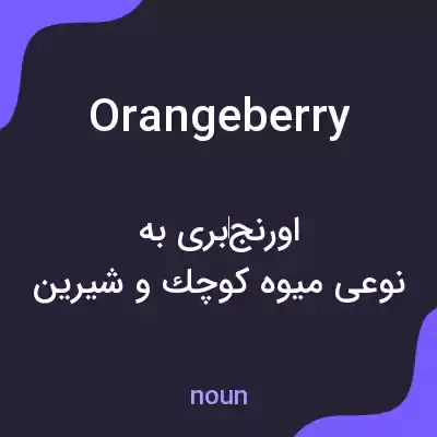 معنی orangeberry به فارسی معنی orangeberry به فارسی