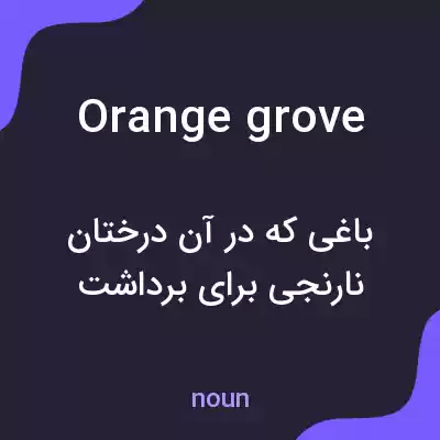 معنی orange grove به فارسی معنی orange grove به فارسی