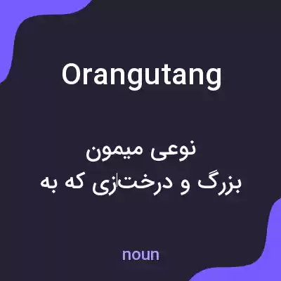 معنی orangutang به فارسی معنی orangutang به فارسی