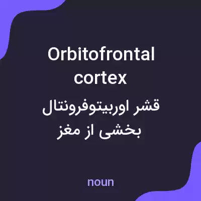 معنی orbitofrontal cortex به فارسی معنی orbitofrontal cortex به فارسی