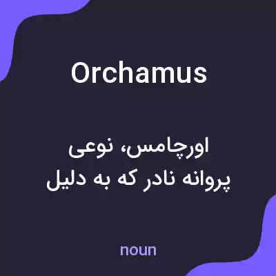 معنی orchamus به فارسی معنی orchamus به فارسی