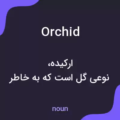 معنی orchid به فارسی معنی orchid به فارسی