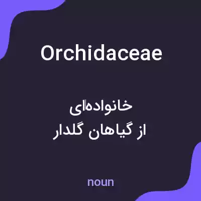 معنی orchidaceae به فارسی معنی orchidaceae به فارسی