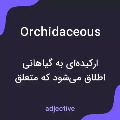 معنی orchidaceous به فارسی معنی orchidaceous به فارسی