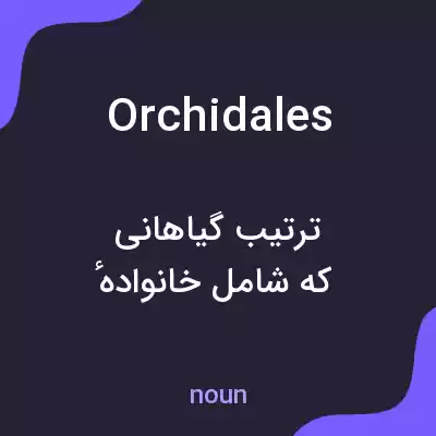 معنی orchidales به فارسی معنی orchidales به فارسی