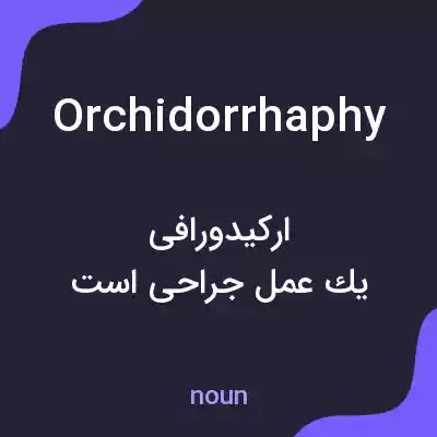 معنی orchidorrhaphy به فارسی معنی orchidorrhaphy به فارسی