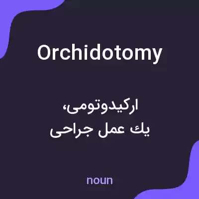 معنی orchidotomy به فارسی معنی orchidotomy به فارسی