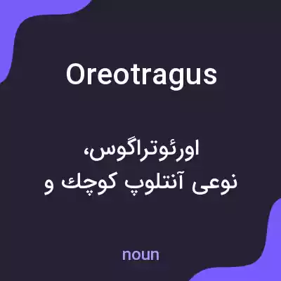 معنی oreotragus به فارسی معنی oreotragus به فارسی