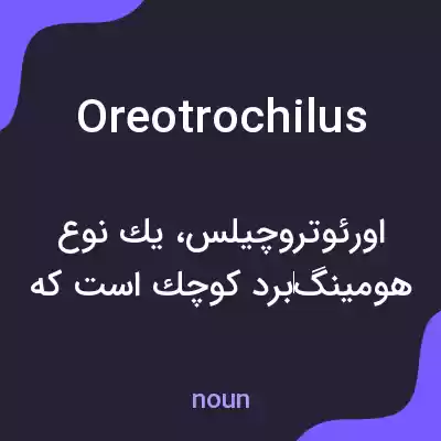 معنی oreotrochilus به فارسی معنی oreotrochilus به فارسی