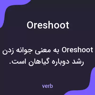 معنی oreshoot به فارسی معنی oreshoot به فارسی