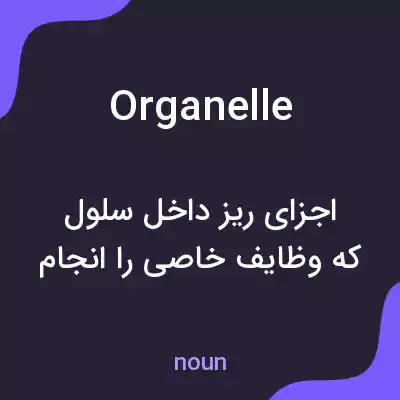 معنی organelle به فارسی معنی organelle به فارسی